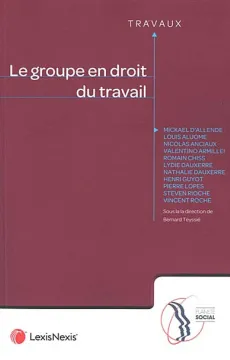 le-groupe-en-droit-du-travail-9782711036288.jpg