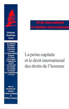 la-peine-capitale-et-le-droit-international-des-droits-de-l-homme-couv.jpg