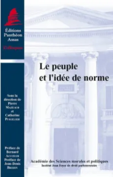 le-peuple-et-l-idee-de-norme-9791090429031.jpg