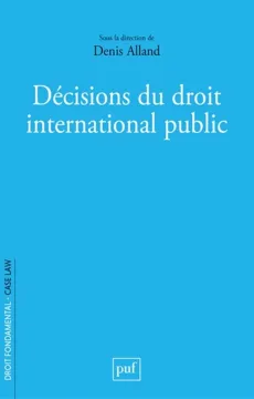 2024-decisions_droit_international_public.png